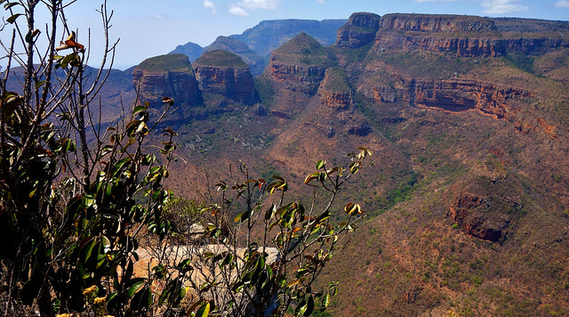 SÜDAFRIKA (South-Africa) , Am Blyde-River Canyon, Richtung Three Rondavels  vom view-point aus , 22198