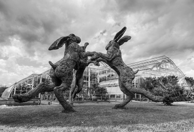 Dancing Hares & The Glass House - B&W