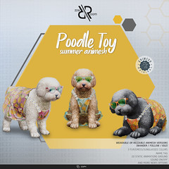 [Rezz Room] Poodle Toy Summer  Animesh