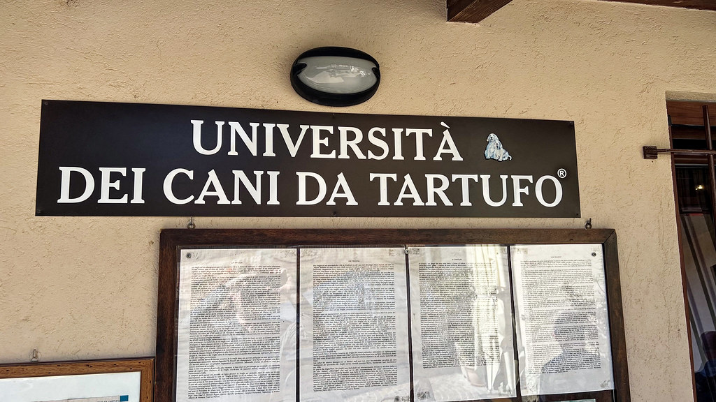 School for truffle-hunting dogs