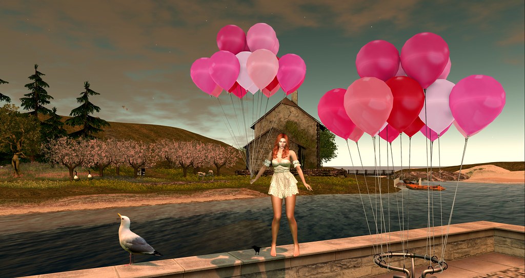 Balloons @ Donet's Basin | Donet's Basin | Fallen | Flickr