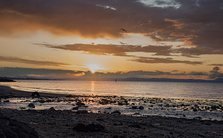 Sunset at Musselburgh Beach - 25th June 2023
