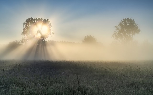 *the play of the sun with the fog*