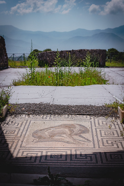 Pompeii Mosaic