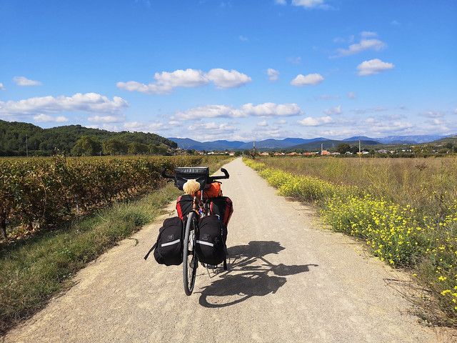 Vineyard cyclepath, Cessenon-sur-Orb