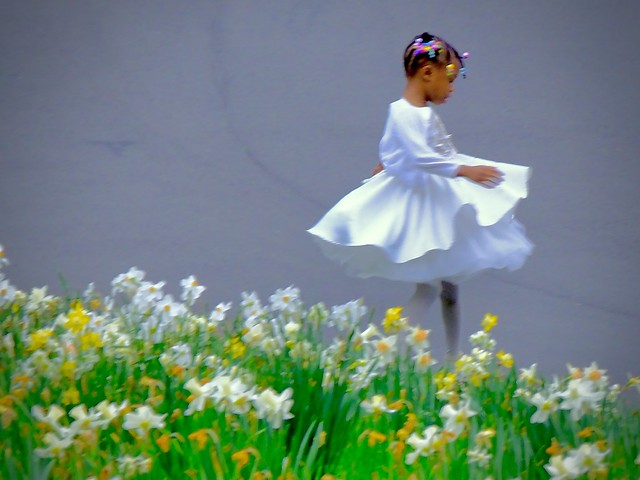 Little Girl In White Dress