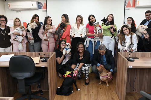 Reunião pet friendly | by OAB-GO