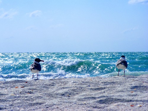Planning a Romantic Getaway? Explore the Beauty of Florida
