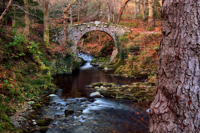 Foley's Bridge, Tollymore Forest Park, Co. Down