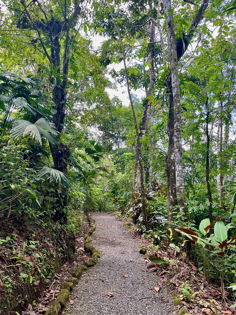 Naturo Eco Park in La Fortuna, Costa Rica. Photo by howderfamily.com; (CC BY-NC-SA 2.0)