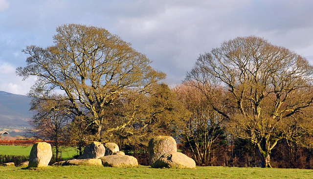 Some of Long Meg's Daughters.