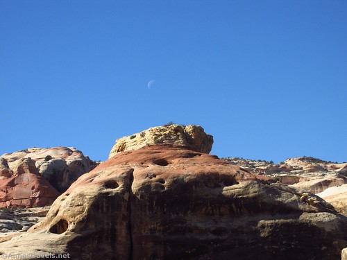 Moon over the cliffs above Salt Creek Canyon, Needles District, Canyonlands National Park, Utah