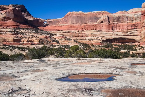 Kirk Arch and reflections in a puddle, Needles District, Canyonlands National Park, Utah