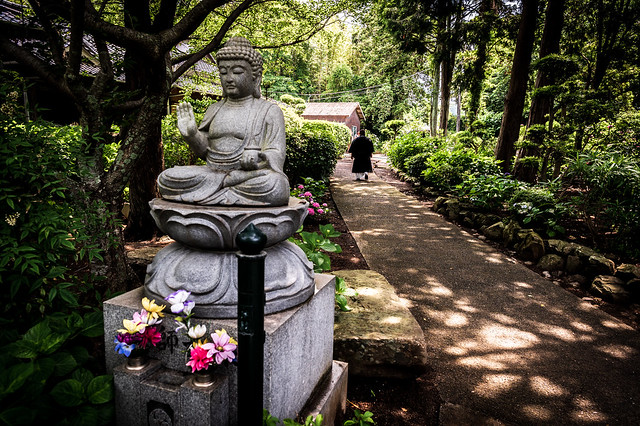 長門市向津具半島向徳寺 #3ーKoutoku-ji Temple in Mukatsuku Peninsula, Nagato City #3