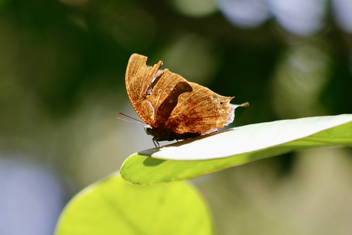 Costa Rica | by joeksuey