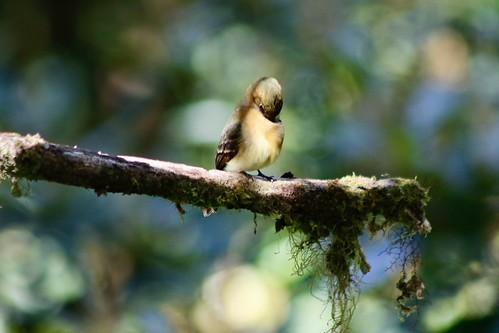 Costa Rica | by joeksuey