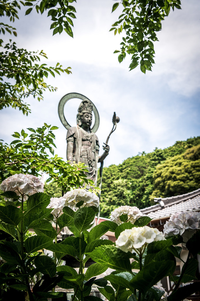 長門市向津具半島向徳寺 #3ーKoutoku-ji Temple in Mukatsuku Peninsula, Nagato City #3