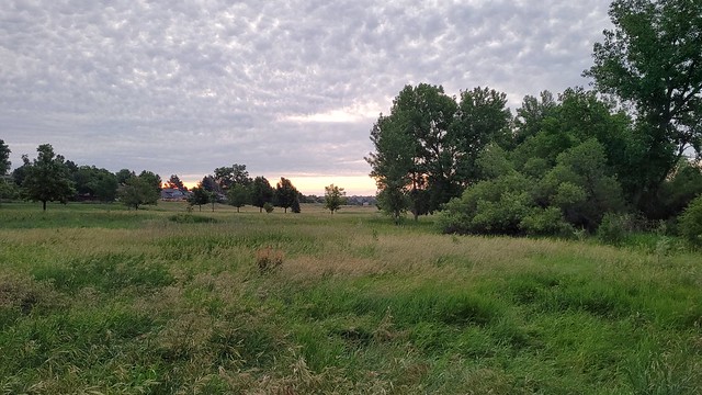 #tommw 64F mostly cloudy. Light breeze