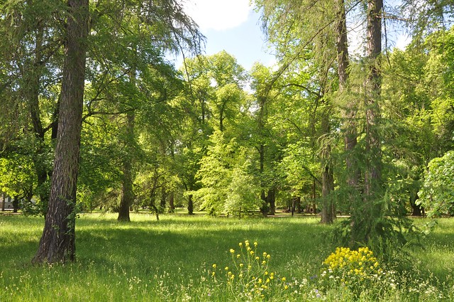 Uppsala in green