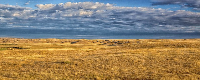 Saskatchewan Prairie
