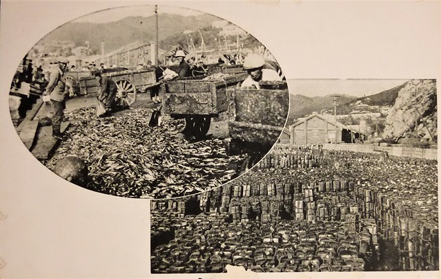 Seoul Korea vintage Korean multiview postcard circa 1925 showing Ch'ongjin Port in today's North Korea - 