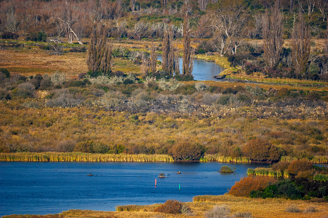 Tongariro River Delta