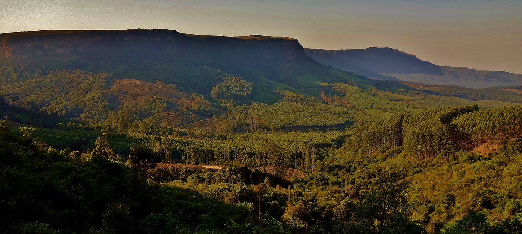 SÃDAFRIKA (South-Africa, Rückfahrt entlang der Drakensberge , 22216
