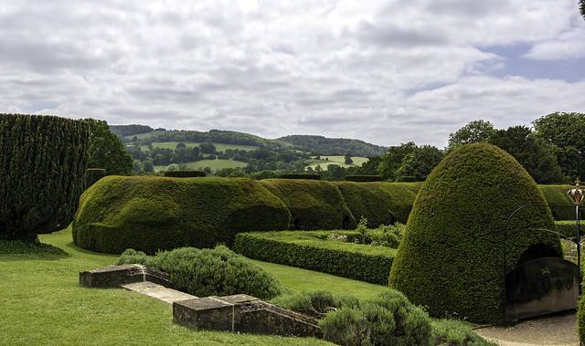 The yew hedges of Sudeley Castle, Gloucestershire