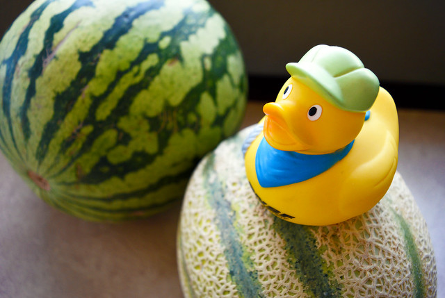 Melons and Rubber Duck