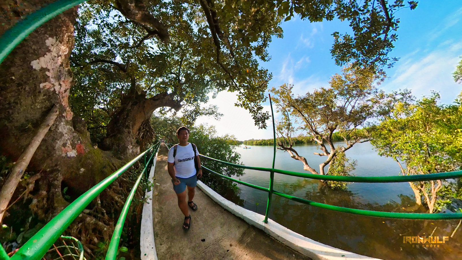 San Nicolas Mangrove Forest mangrove boardwalk
