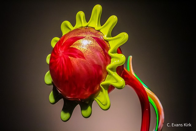 Chihuly Collection II