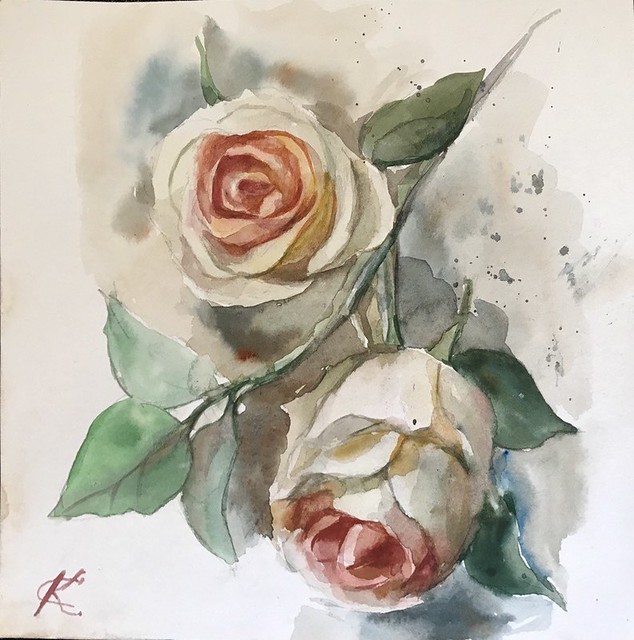 English Roses Watercolor Original Art Size 8 by 8 inch Roses Painting Flowers Painting Floral Artworks Ukrainian artist
