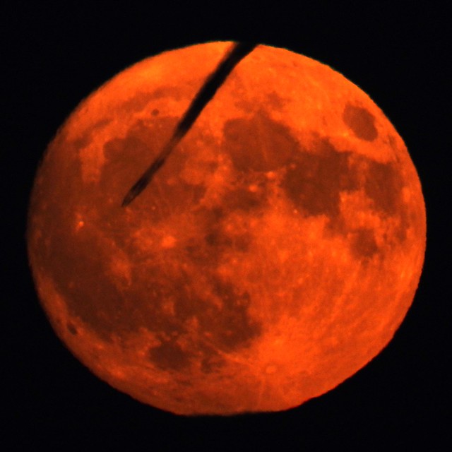 Fly Me to the Buck Supermoon