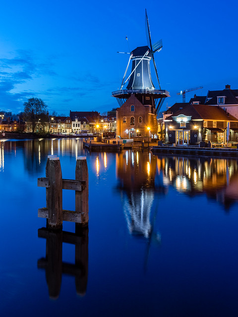 Haarlem Nights