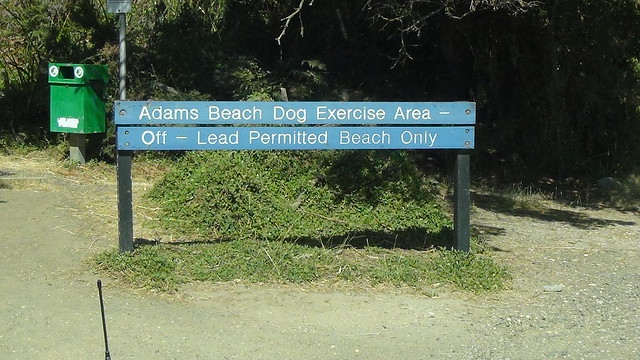 Bin and Adams Beach sign