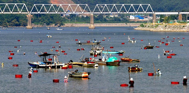 REPUBLIC OF KOREA - The Sonteul (hand net) Fishery System for gathering Marsh Clam in Seomjingang River