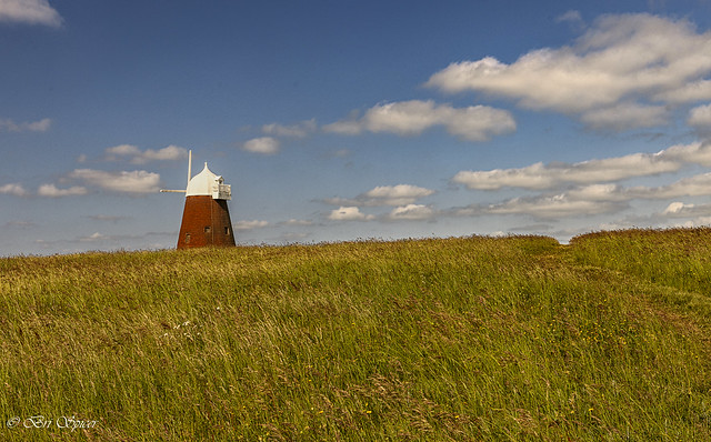 Halnaker windmill in the summer grasses