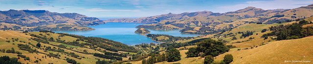 View Down Akaroa Harbour from Duvauchelle, Canterbury, New Zealand South Island