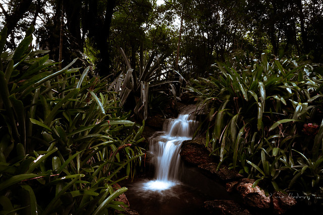 Waterfall - Curitiba Botanic Gardem - Curitiba/PR - 1 - Explore, July 4, 2023