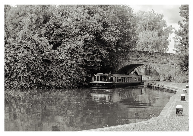 20230629 Basingstoke Canal Monochrome