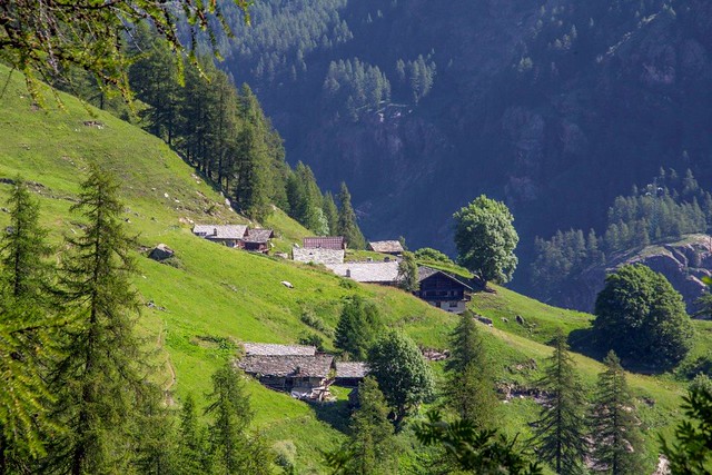 26 Giugno 2023 - Valle d'Aosta, Valle di Gressoney, anello Alpenzu Grande, Alpenzu Piccolo, Gressoney La Trinite', Gressoney St Jean