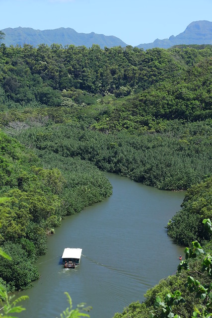 Wailua River 10