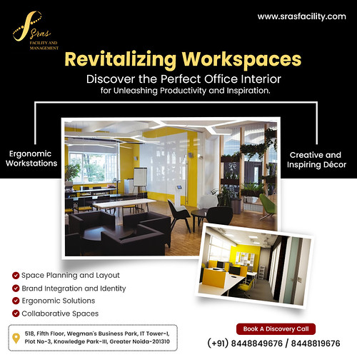 Revitalize Your Office Space, Unleash Productivity!