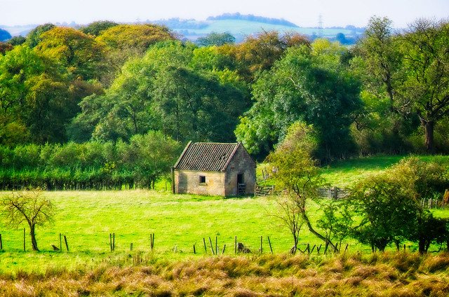 Countryside