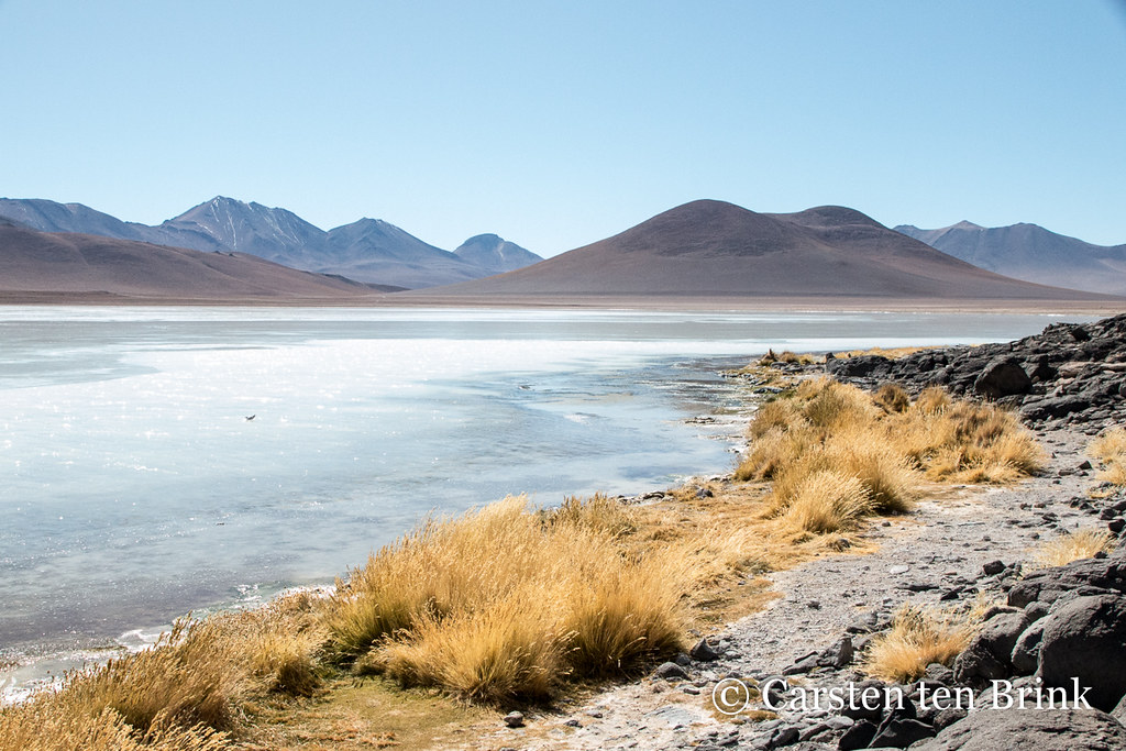 Bolivia -  Eduardo Avaroa national park - Laguna Blanca