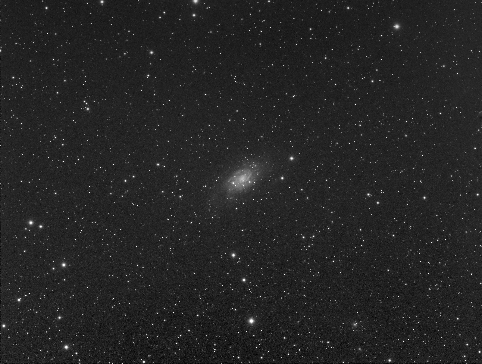 007 - NGC 2403 - Luminance
