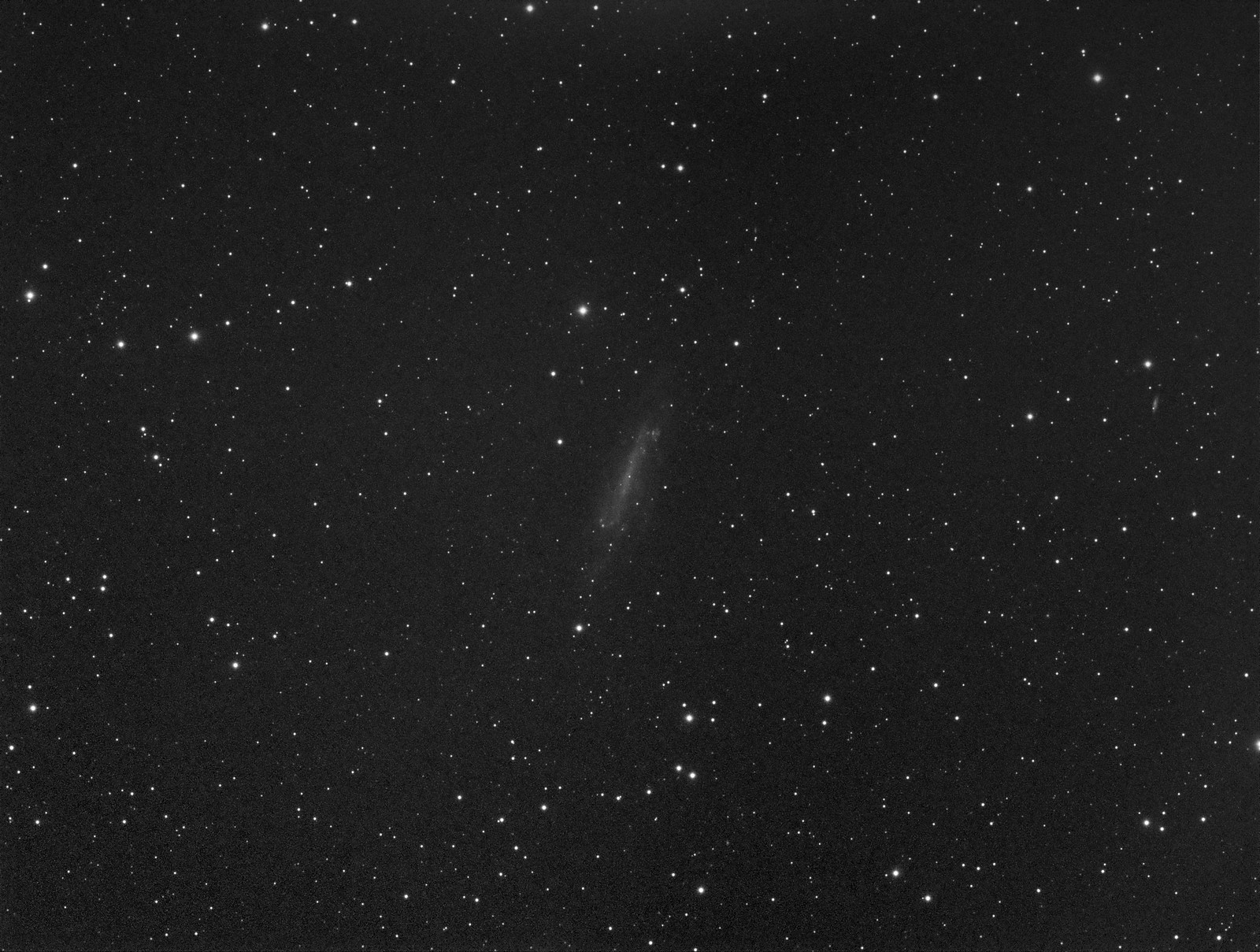 003 - NGC 4236 - Luminance