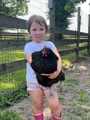 Pasture pals participant and chicken whisperer holds one of our chickens in her hands.  