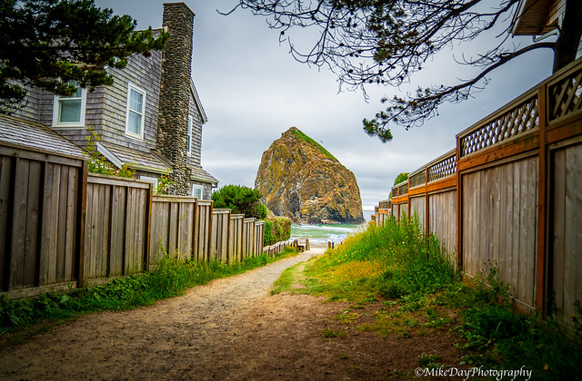 All Paths Lead To Haystack Rock
