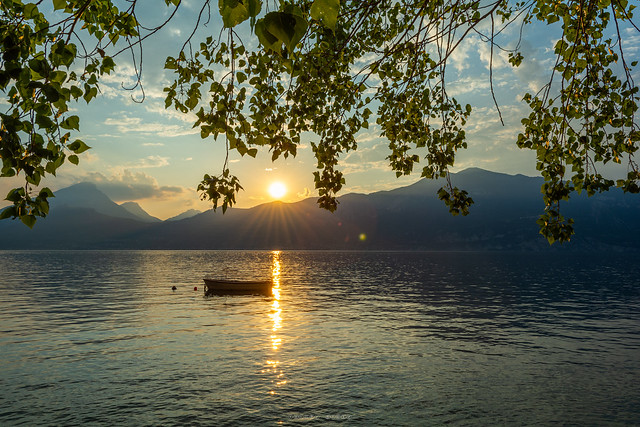 Sunset Under Trees | Lago di Garda